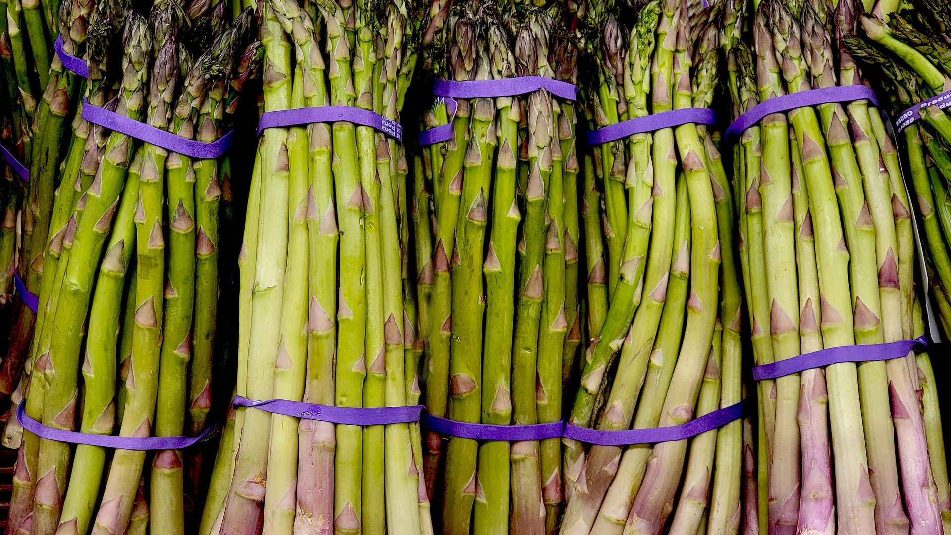 Fresh asparagus demonstrating extended shelf life in refrigeration