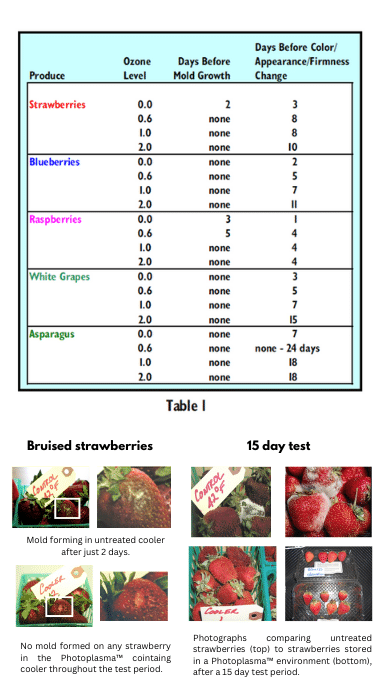 Produce shelf life extension results from Icezone retail trial