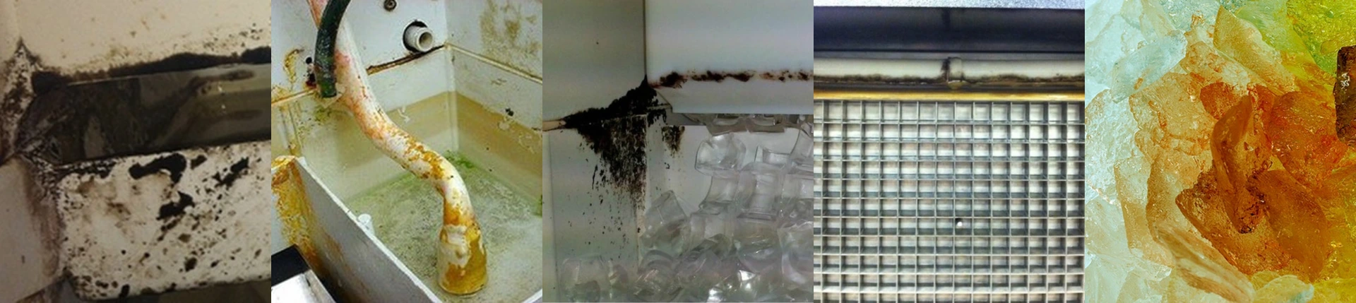 Commercial ice machine interior with mold and biofilm buildup