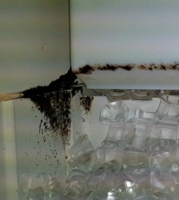 Commercial ice machine interior with mold buildup